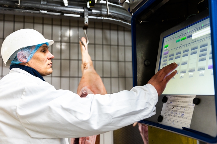 Automatisatie slachthuis voor Heinz Tummel GmbH & Co. KG